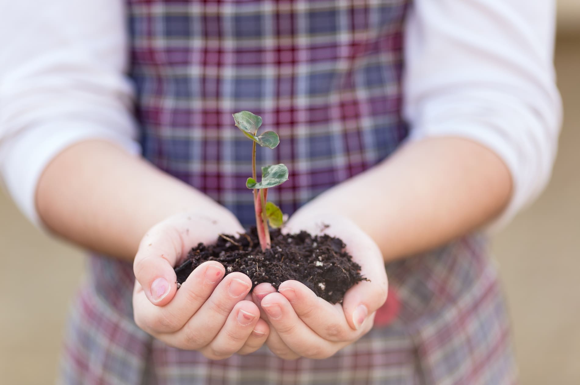 Good Soil Resources The Classical Difference