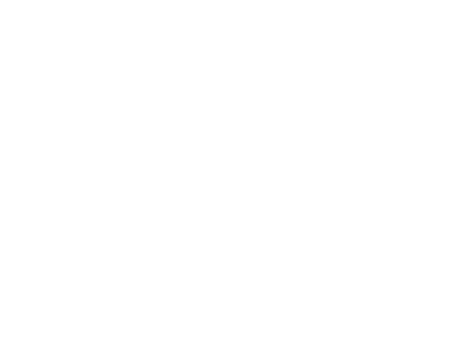 Zip Cast